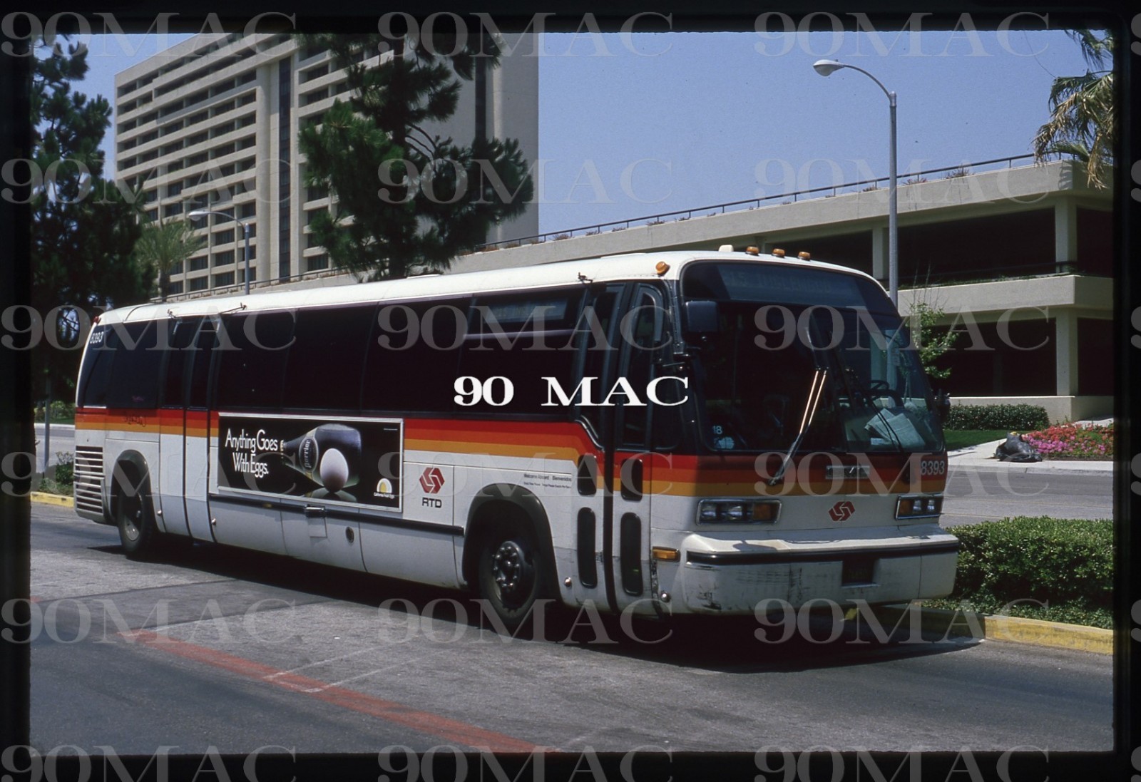 RTD-SCRTD. GM RTS BUS #8393. Los Angeles (CA). Original Slide 1986.