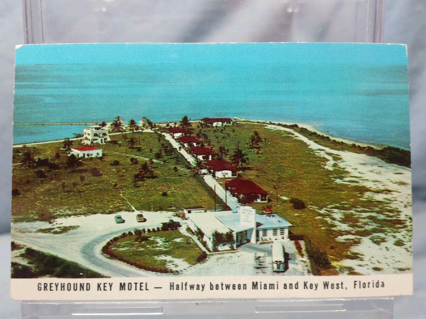 Vintage Advertising Pocket Wallet Calendar Card: 1955 FLORIDA GREYHOUND BUS
