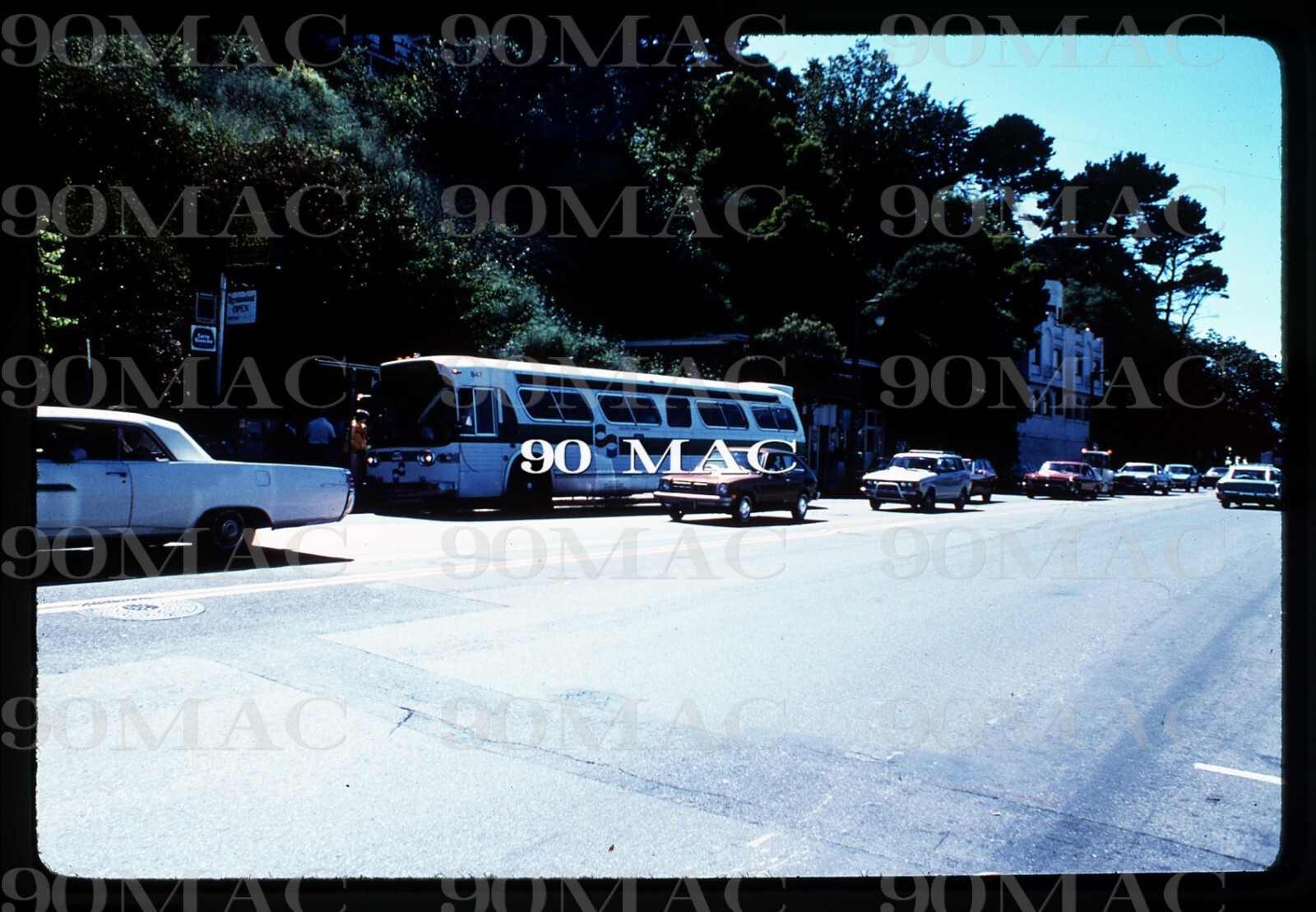 GGT. GM COACH BUS #847. Oakland (CA). Original Slide 1978.