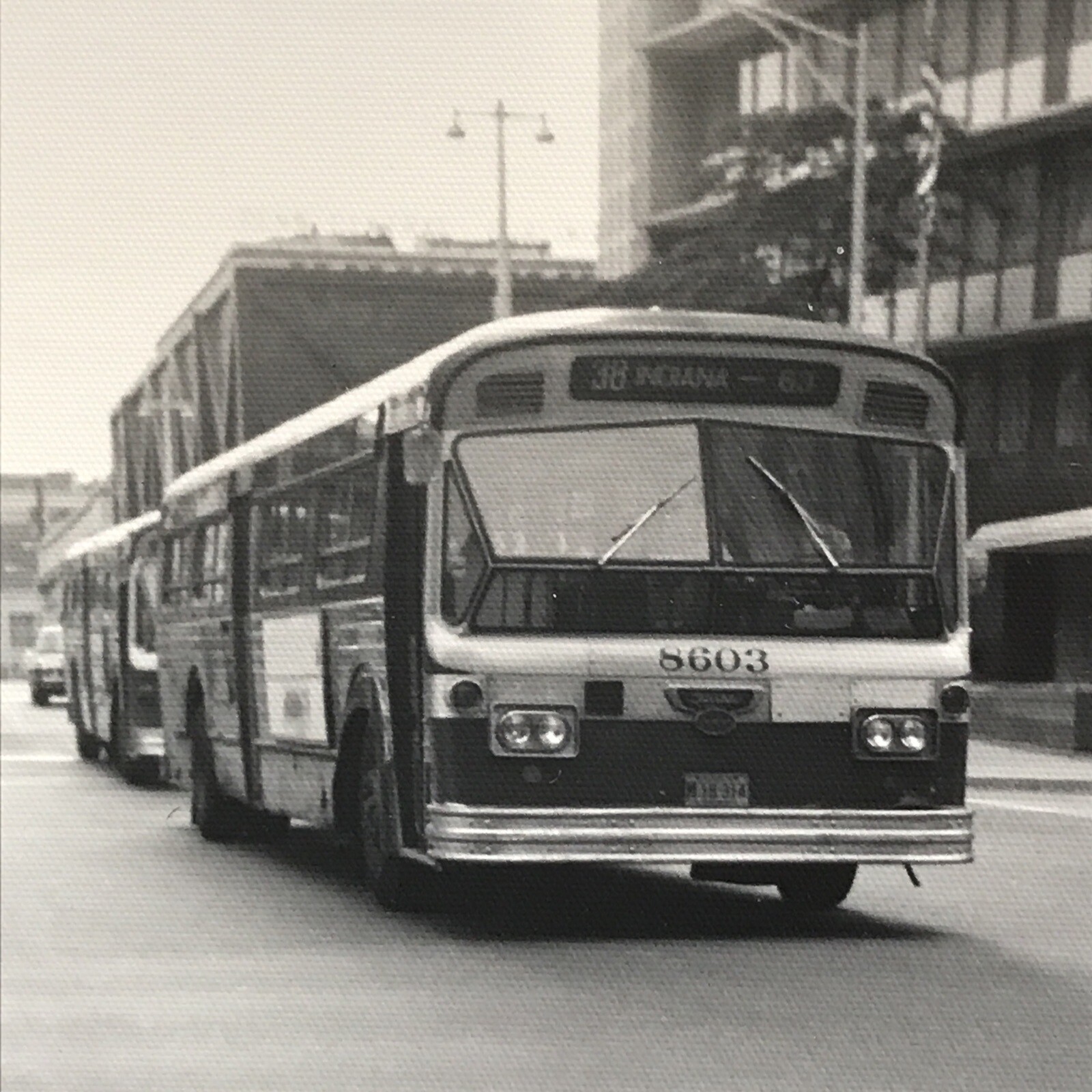 Chicago Transit Authority CTA Bus #8603 Route 38 Indiana B&W Photograph