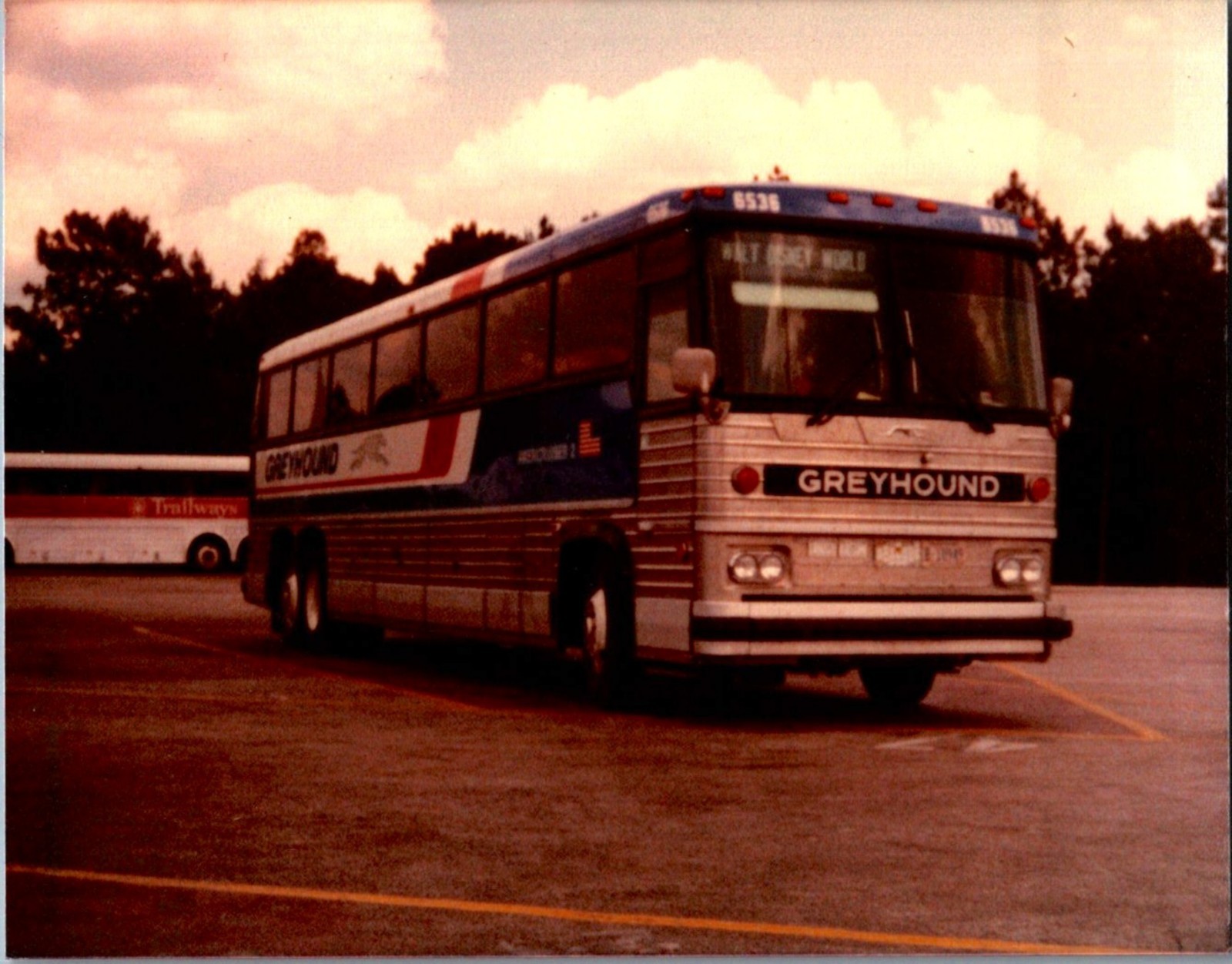 (LOT E) of 180 bus trolley photos 3.5″x5″ transportation color ARCHIVE