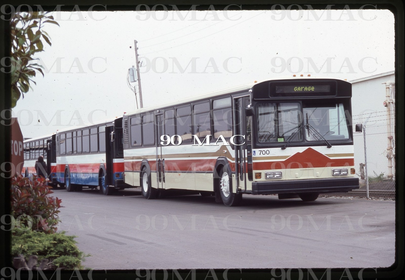 CCCTA. GILLIG BUS #700. Hayward (CA). Original Slide 1985. FACTORY!