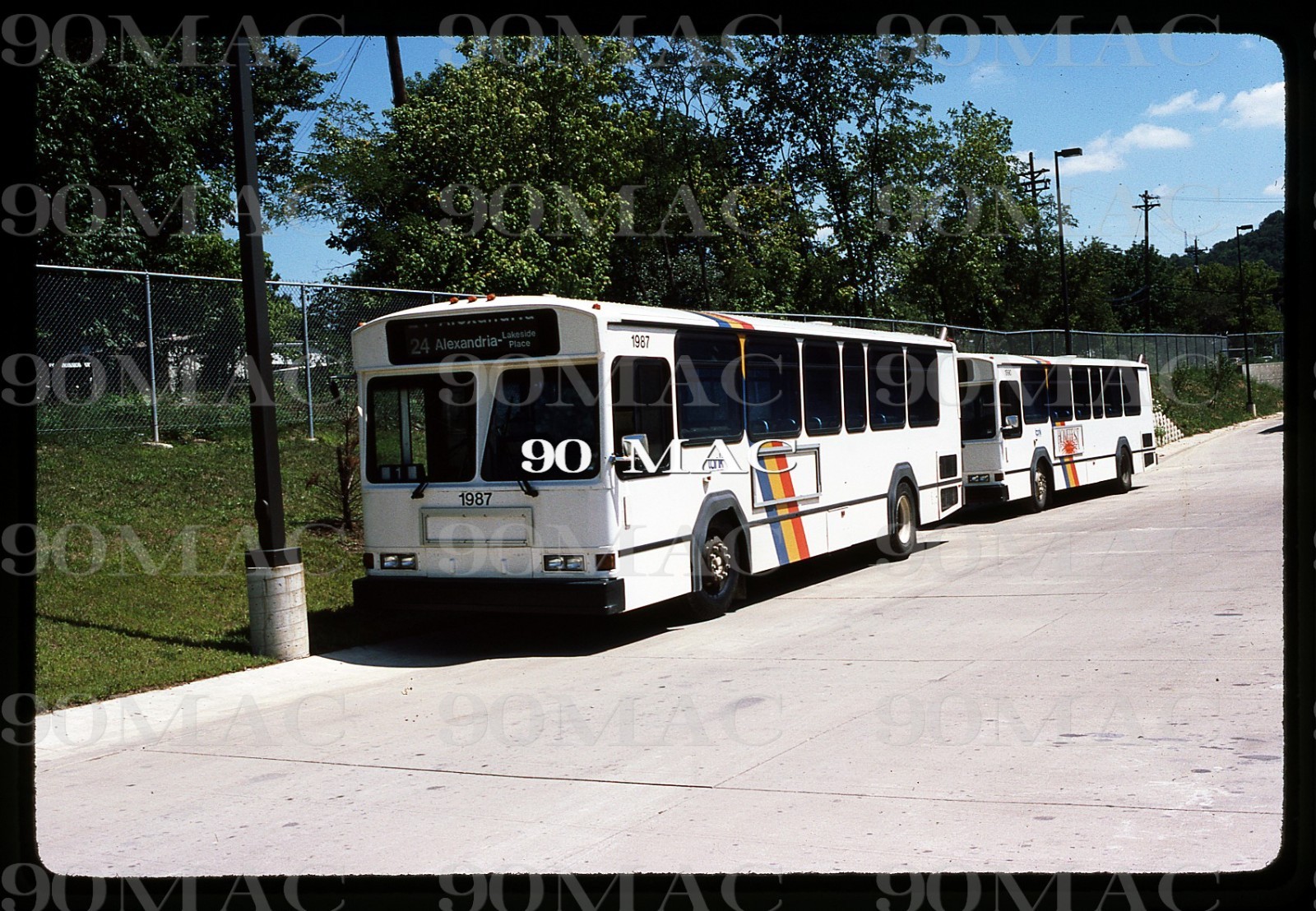 TANK. GILLIG PHANTOM BUS #1987. Covington (KY). Original Slide 1984.