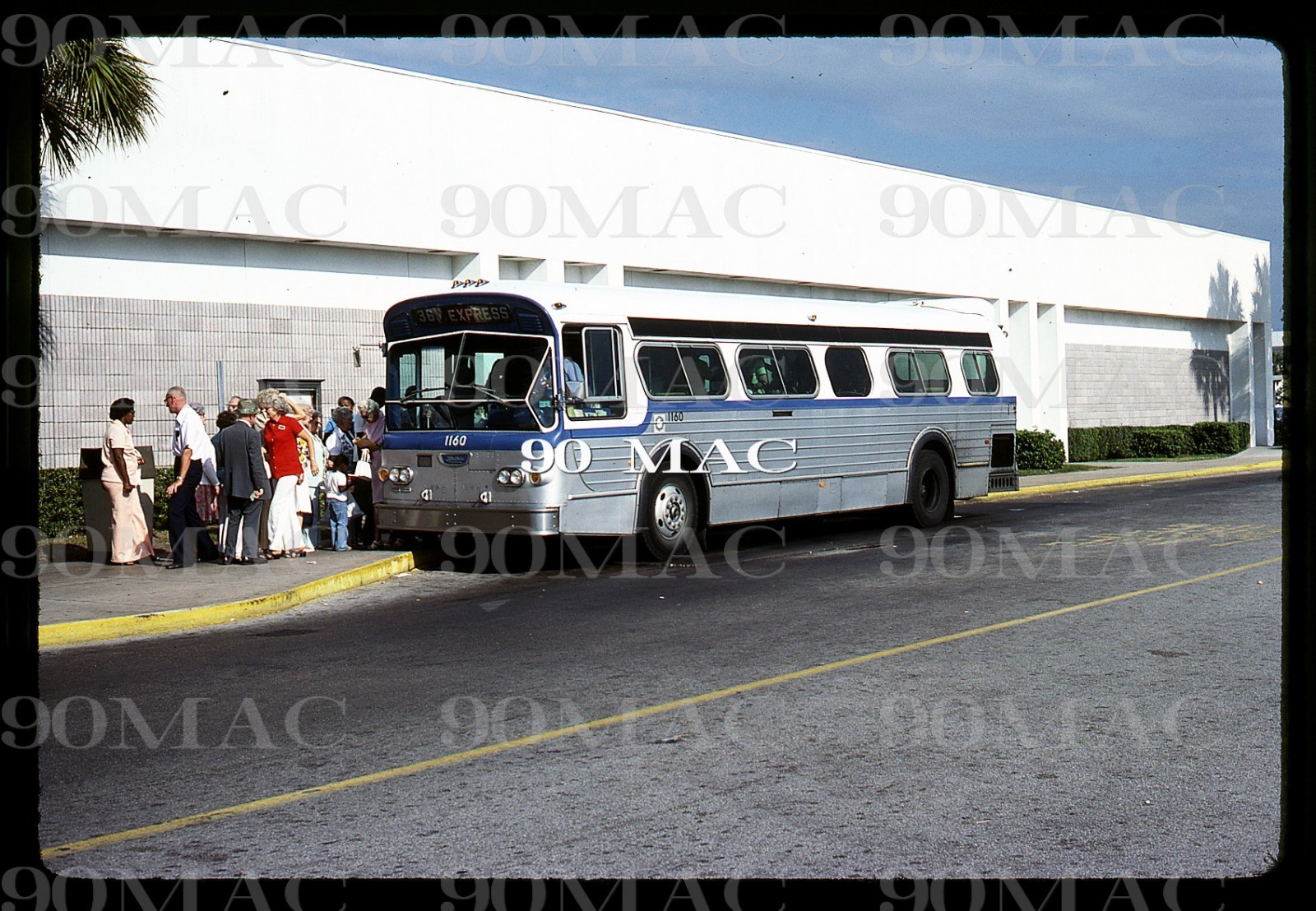 SPMTS. FLXIBLE BUS #1160. Saint Petersburg (FL). Original Slide 1979.