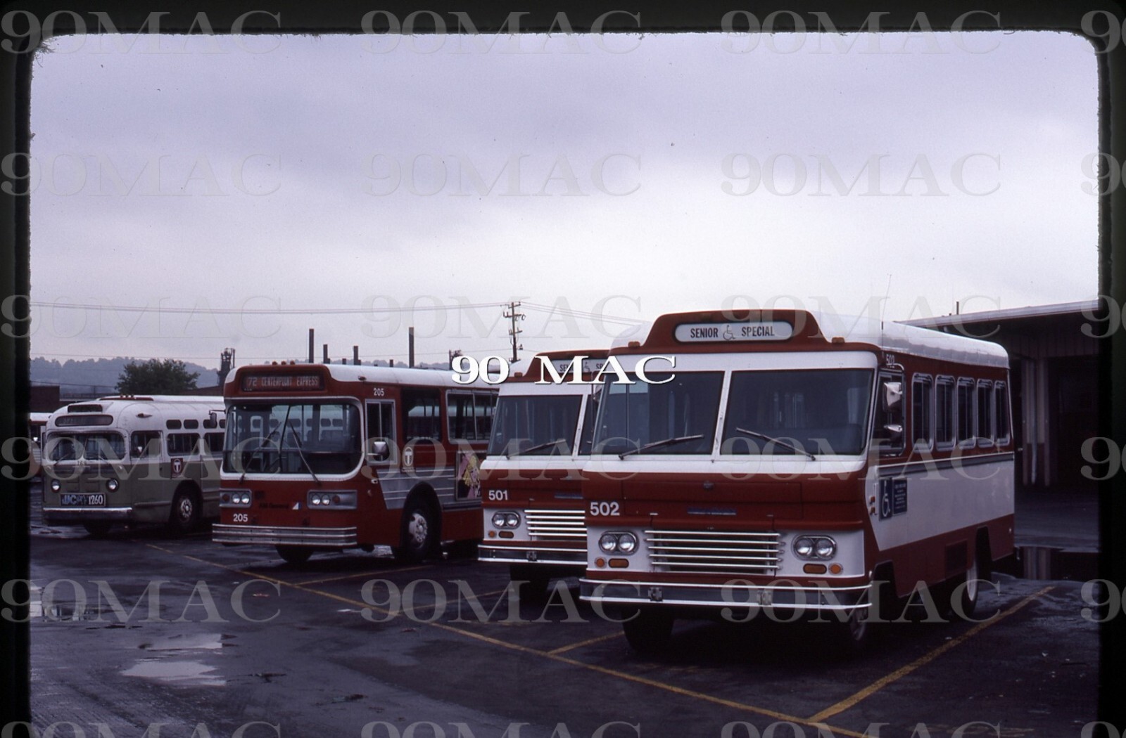 BIRMINGHAM MTA. BUS #502. Birmingham (AL). Original Slide 1979.