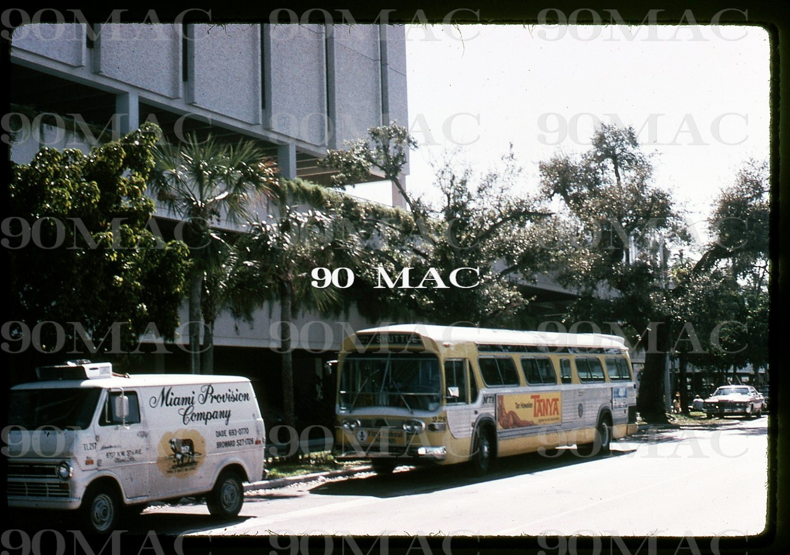 MIAMI-DADE TRANSIT. GM COACH BUS #228. Miami (FL). Duplicate Slide 1975.