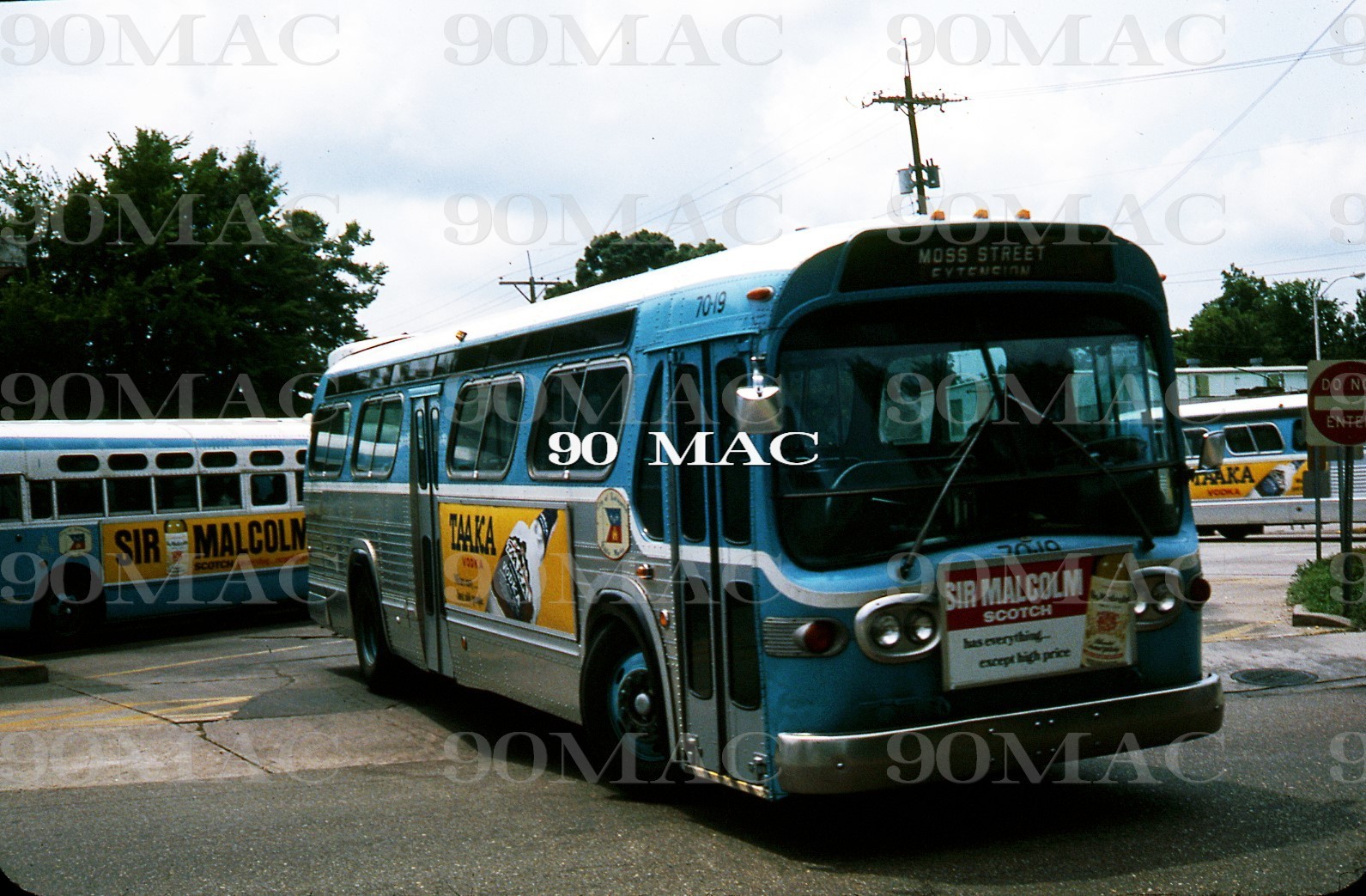 COLT. GM COACH BUS #7019. Lafayette (LA). Original Slide 1978.