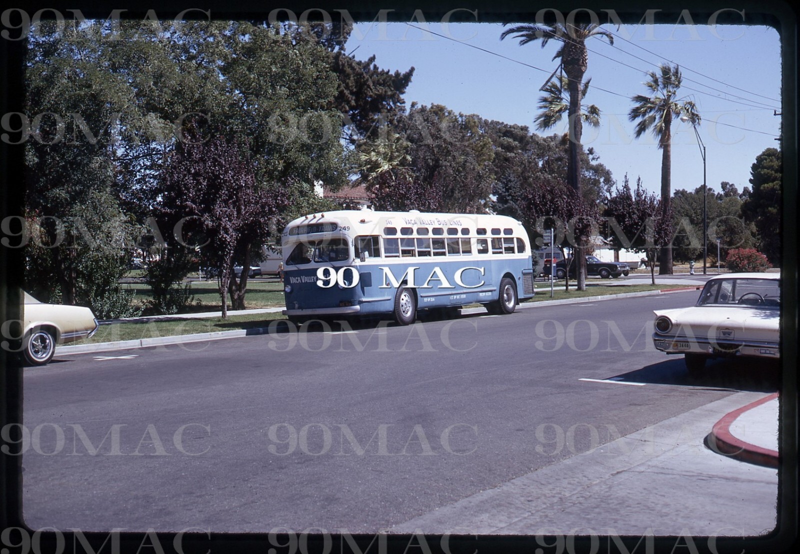 VACA VALLEY BUS LINES. GM COACH BUS#249. Vacaville (CA). Original Slide 1969.(A)