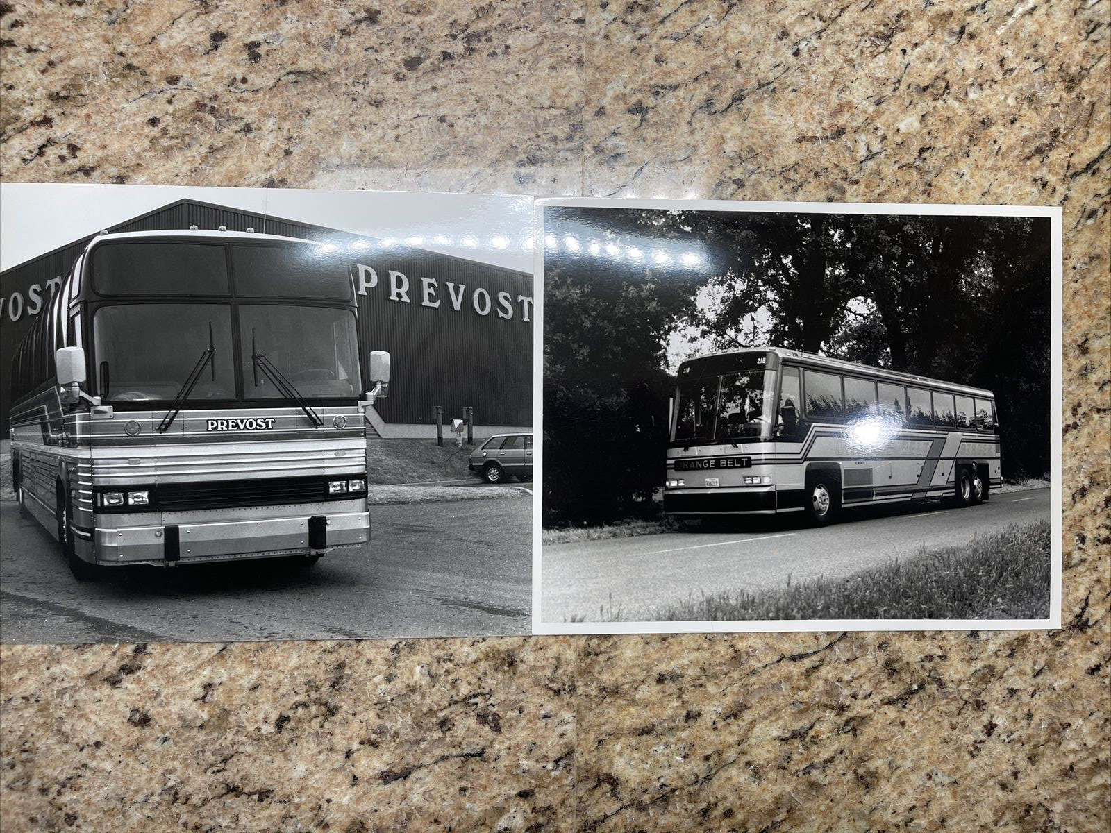 20 bus photographs. 8×10 Black and White Photos
