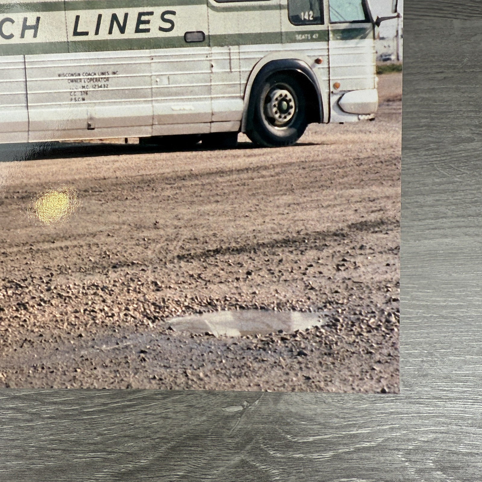 Vtg 1981 Wisconsin Coach Lines Bus (GMC 1972 P8M-4905A) 8×10 Color Photo Reprint