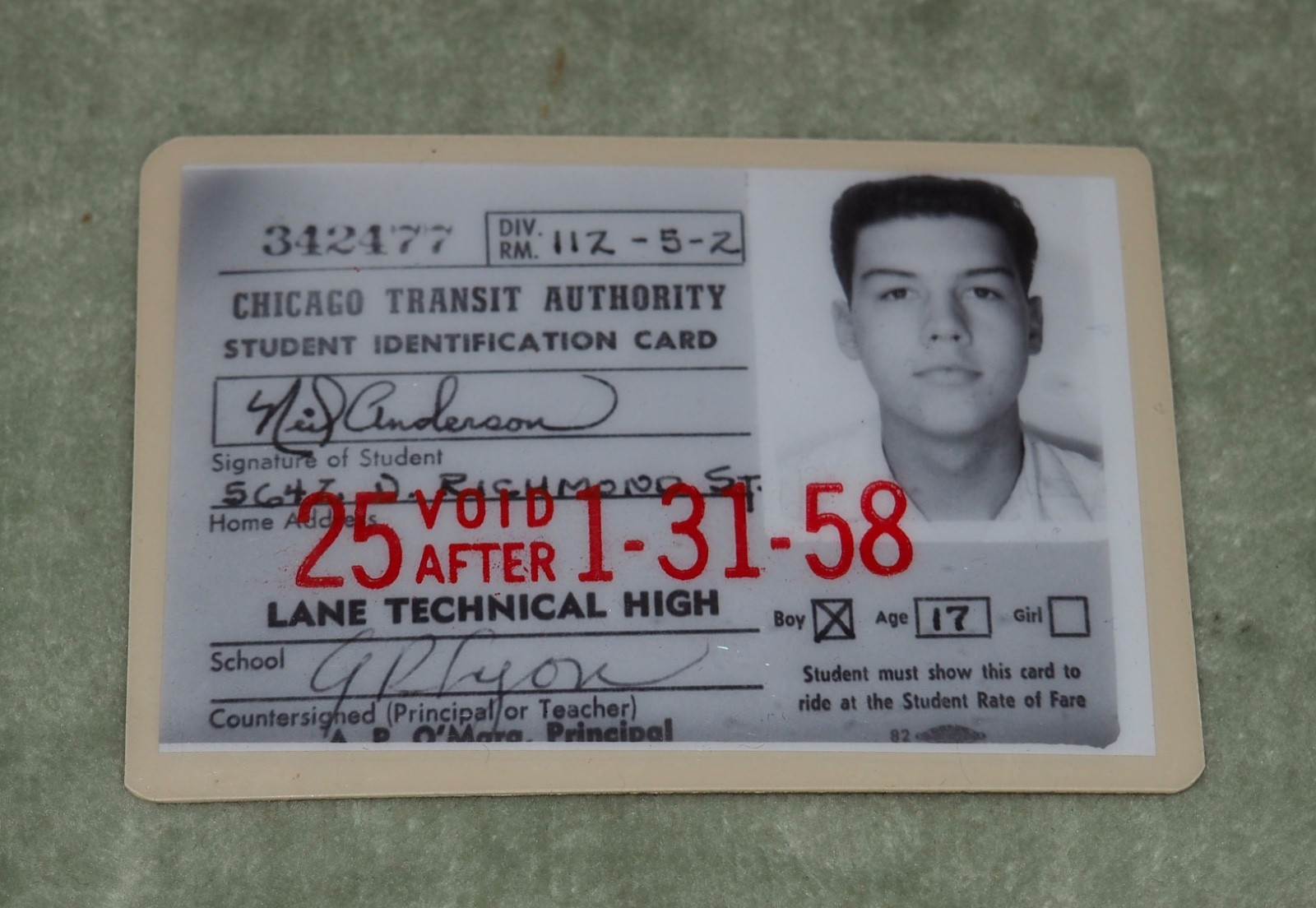 Vintage 1957 CHICAGO TRANST AUTHORITY CTA Student BUS PASS, Lane Tech H.S.