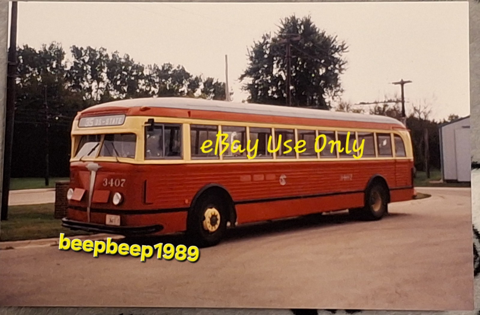 Chicago Surface Lines 3407 White 798 Bus Photo