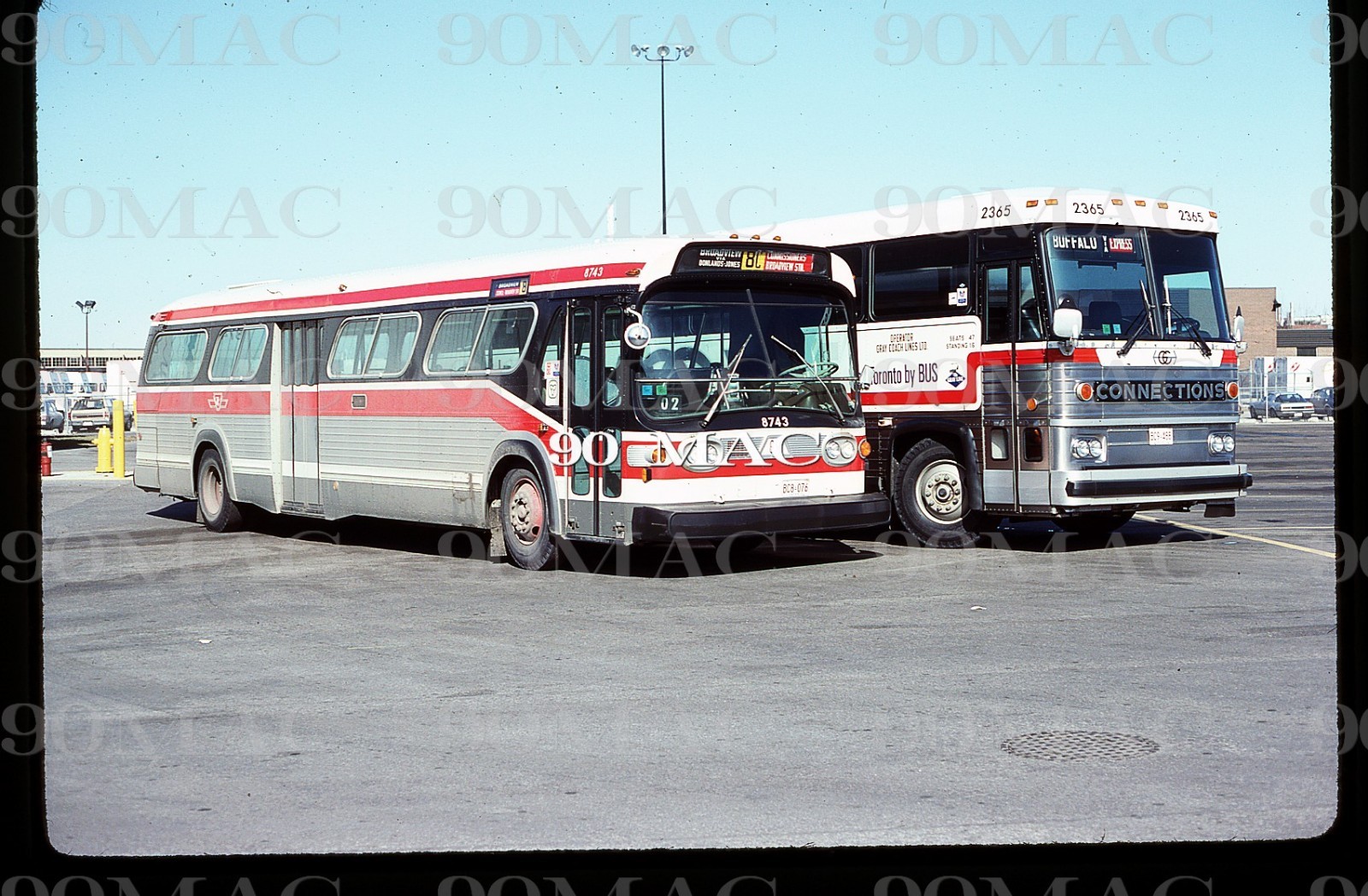 Toronto Transit Commission- TTC. GMDD BUS #8743. Original Slide 1984.