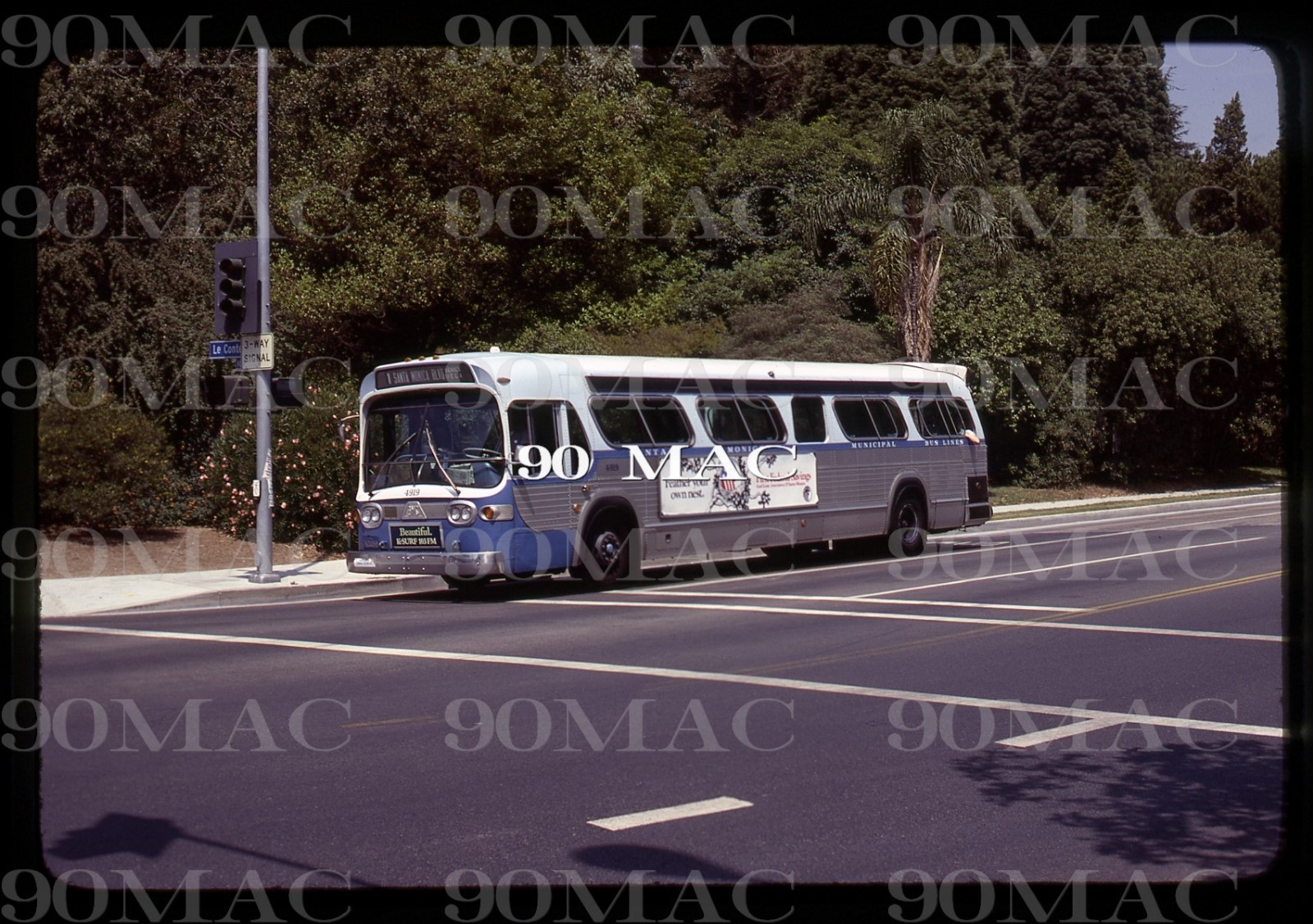 SMMBL. GM COACH BUS #4919. Santa Monica (CA). Original Slide 1978.