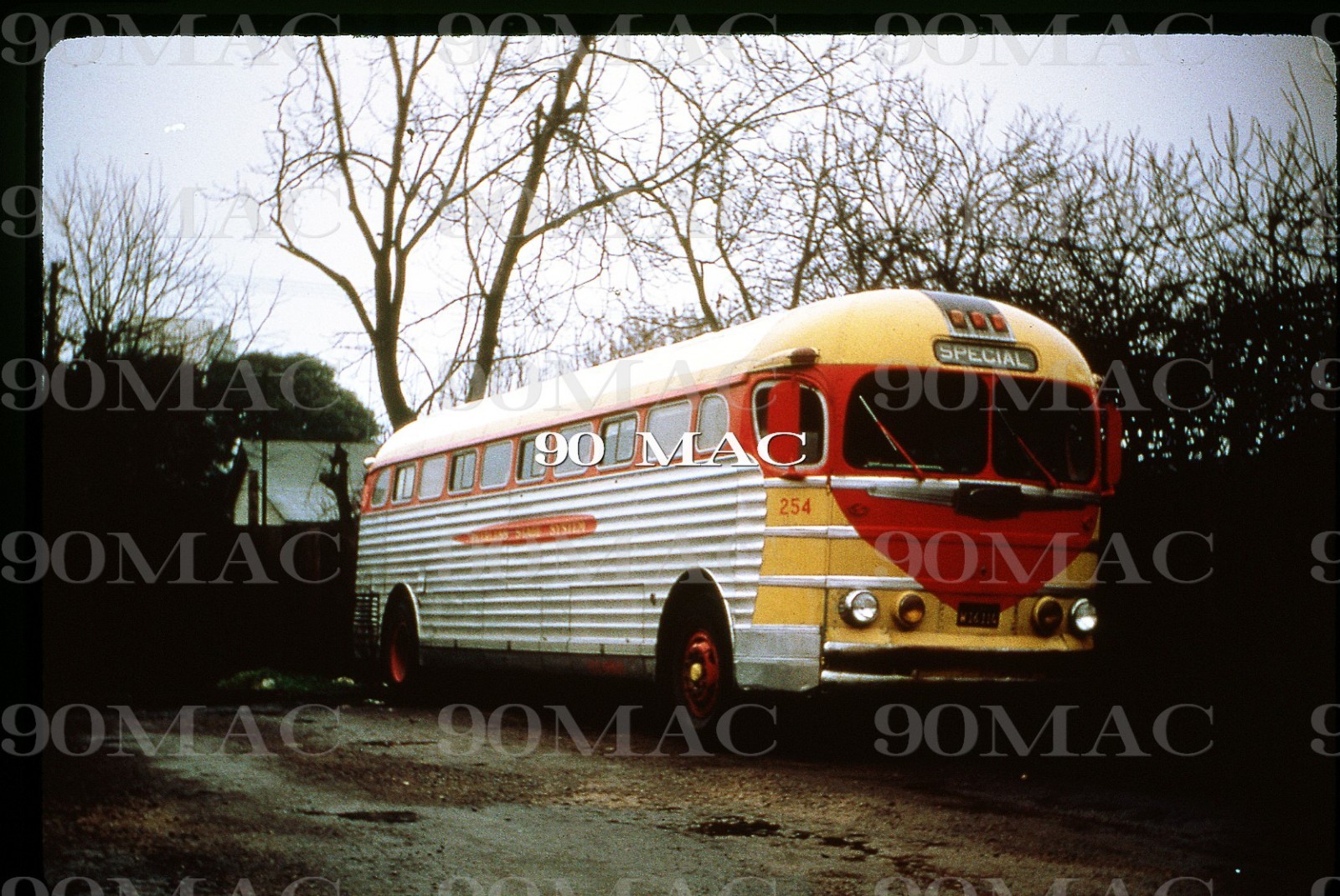 PEERLESS STAGES. GM COACH BUS #254. San Jose (CA). Original Slide 1969. (C)