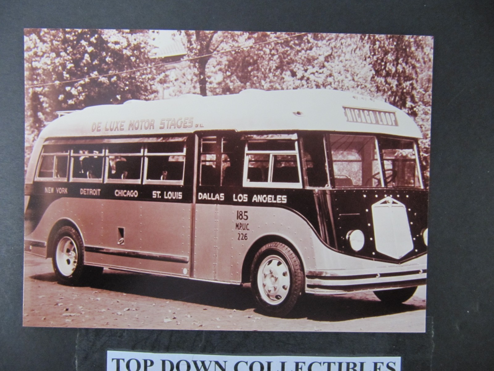 Vintage Bus Passenger Photograph 5 X 7 De Luxe Motor Stages Chicago Loop