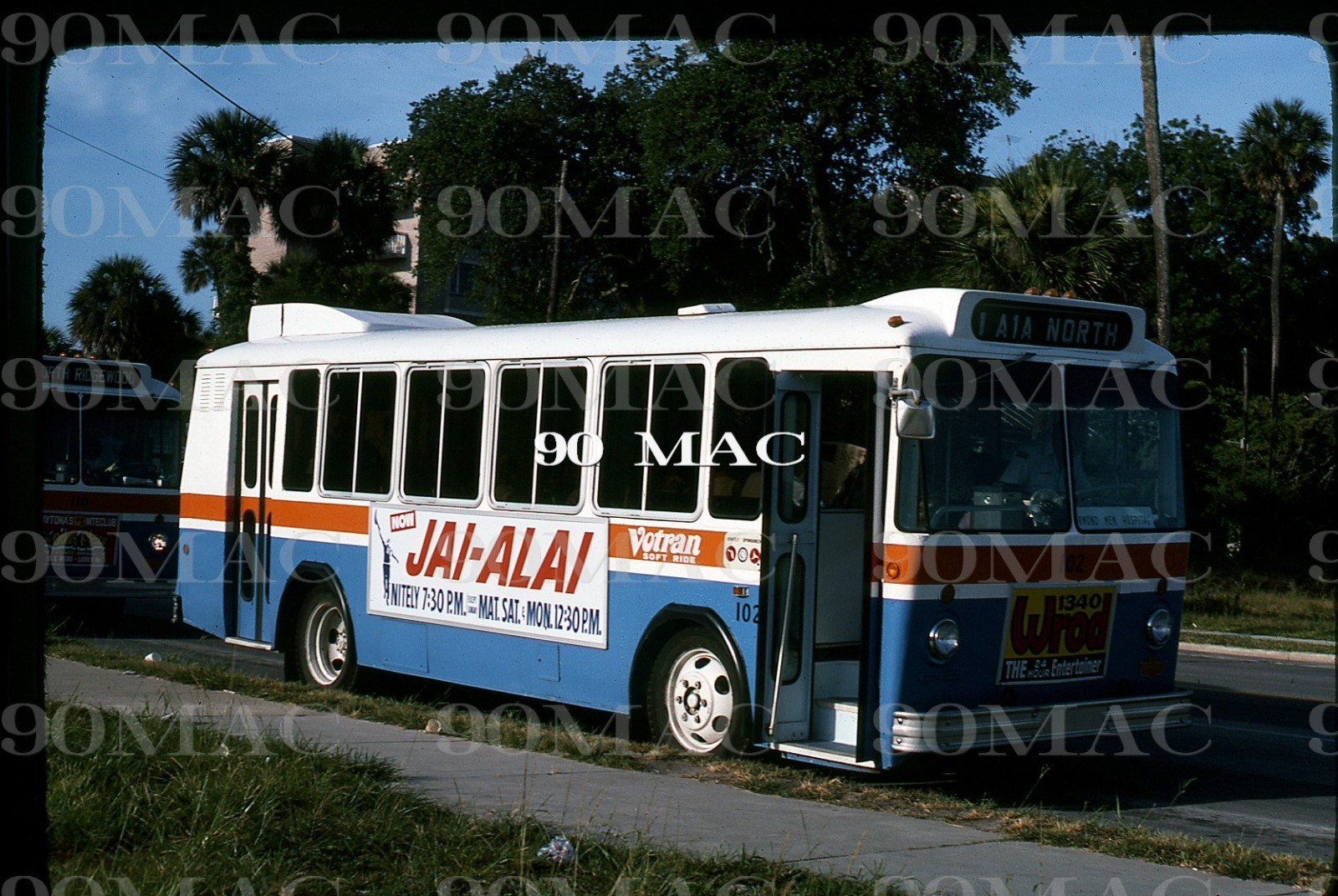 VOTRAN. TWIN COACH BUS #102. Daytona Beach (FL). Original Slide 1976.
