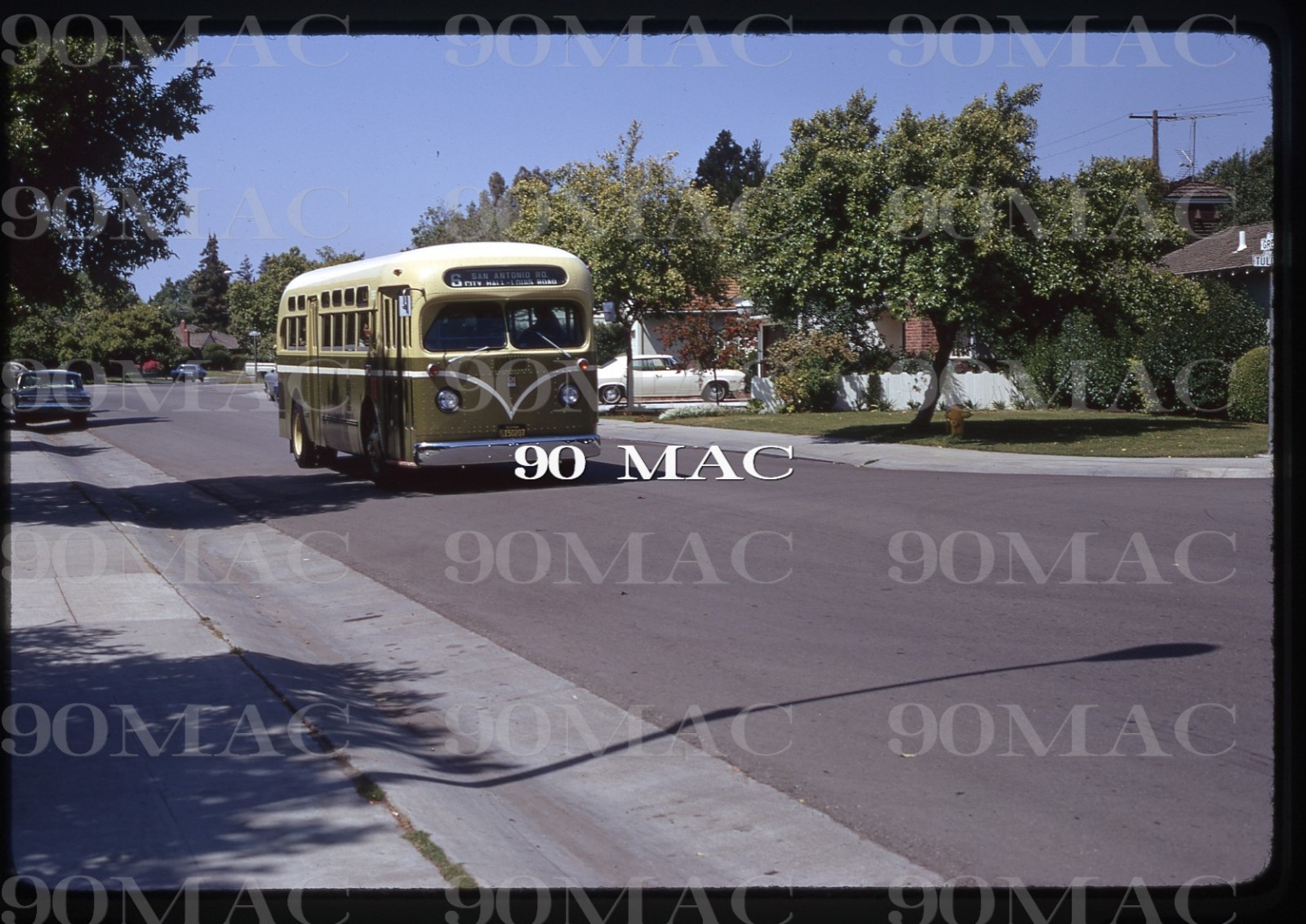 PENINSULA TRANSIT. GM COACH #263. Palo Alto (CA). Original Slide 1972. (A)