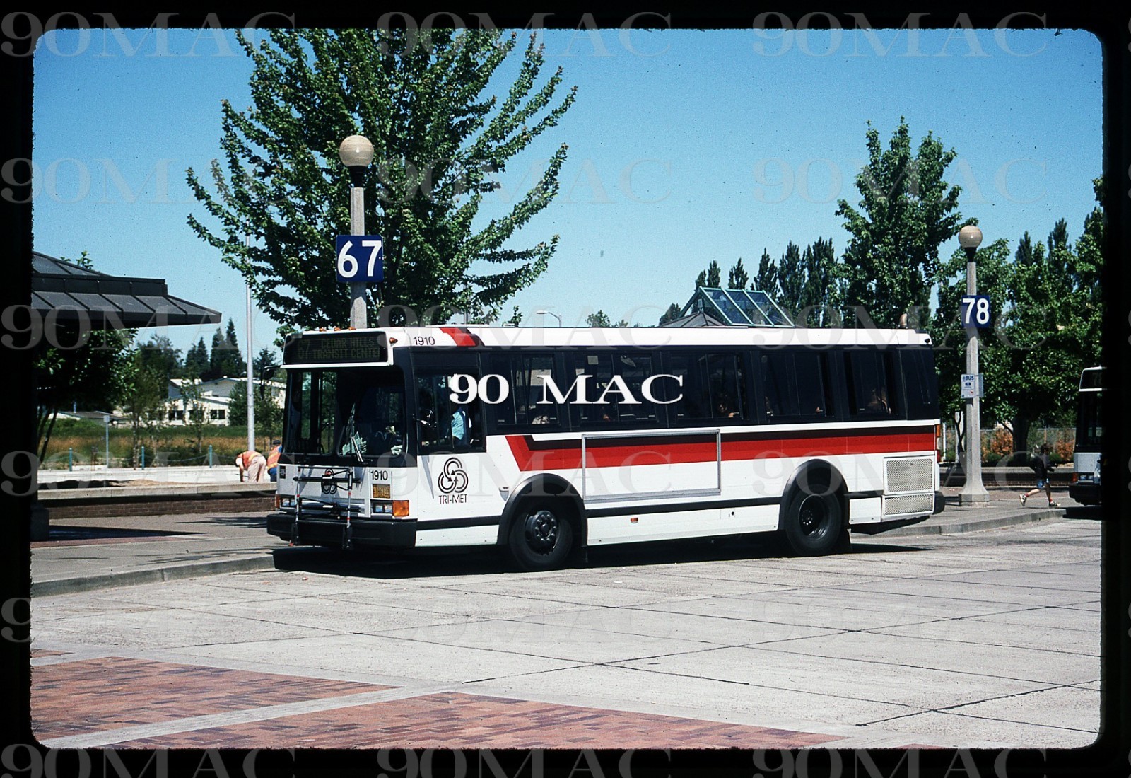TRI-MET. FLXIBLE BUS #1910. Portland (OR). Original Slide 1996.