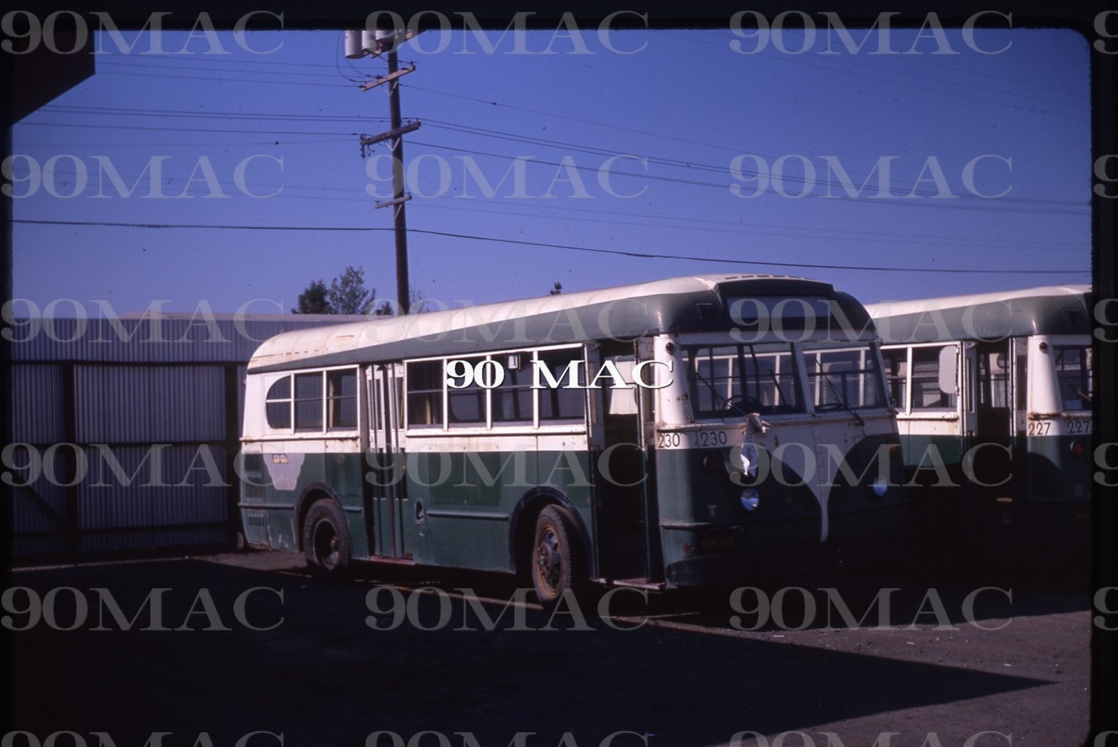 PENINSULA TRANSIT. FORD Bus #230. Palo Alto (CA). Original Slide 1969. (B)