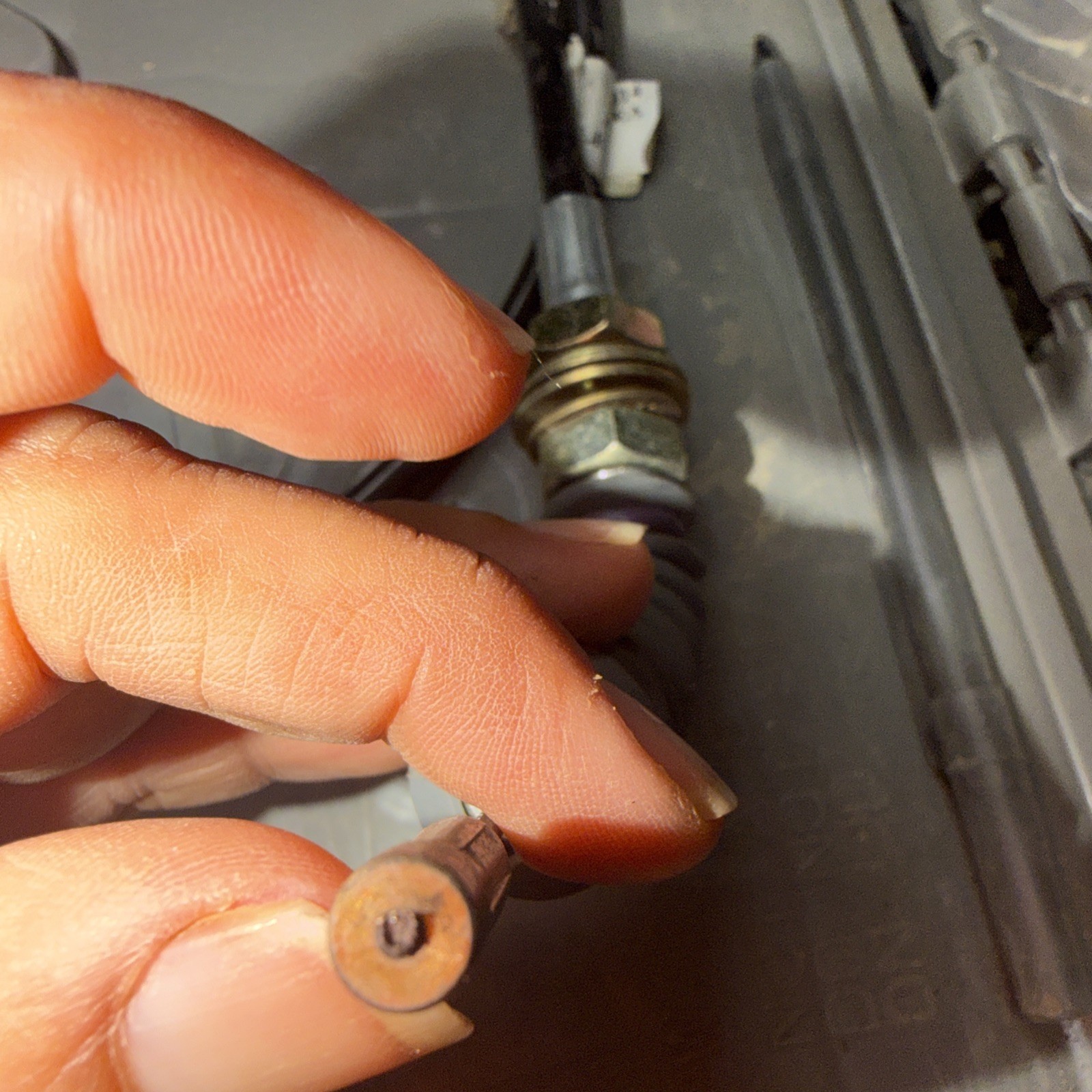 01668441 OEM BB Throttle Cable New Old Stock