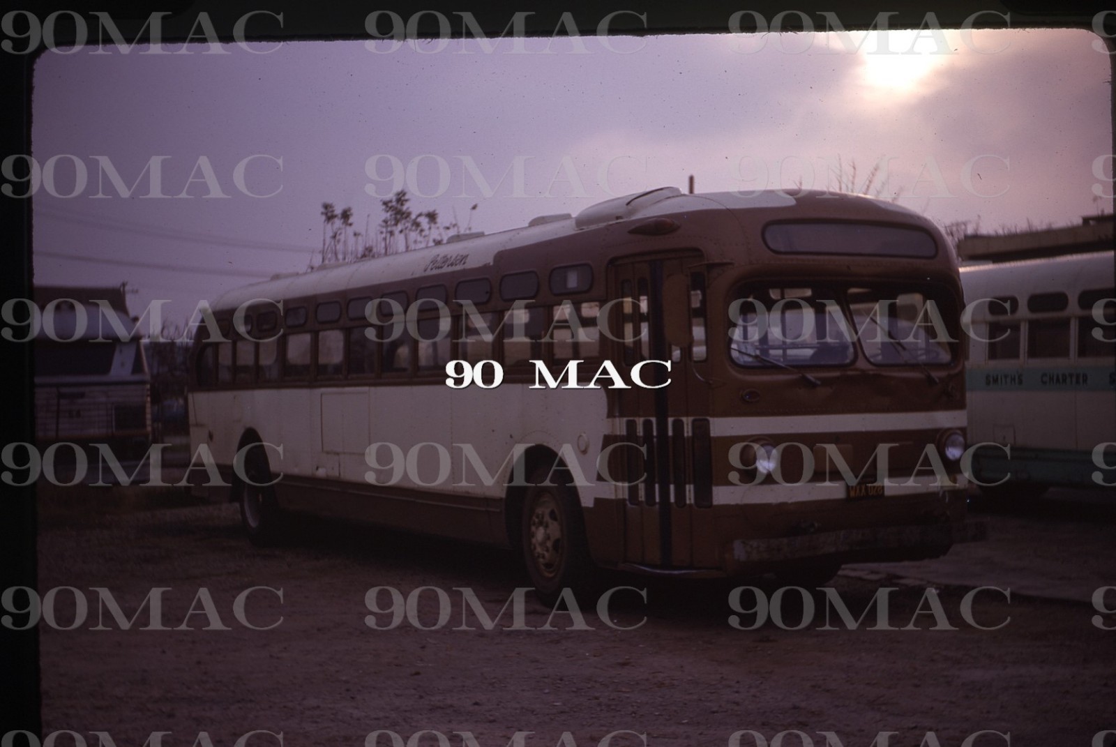 NAPA TRANSIT. GM TDM4505 BUS #194. Napa (CA). Original Slide 1969.