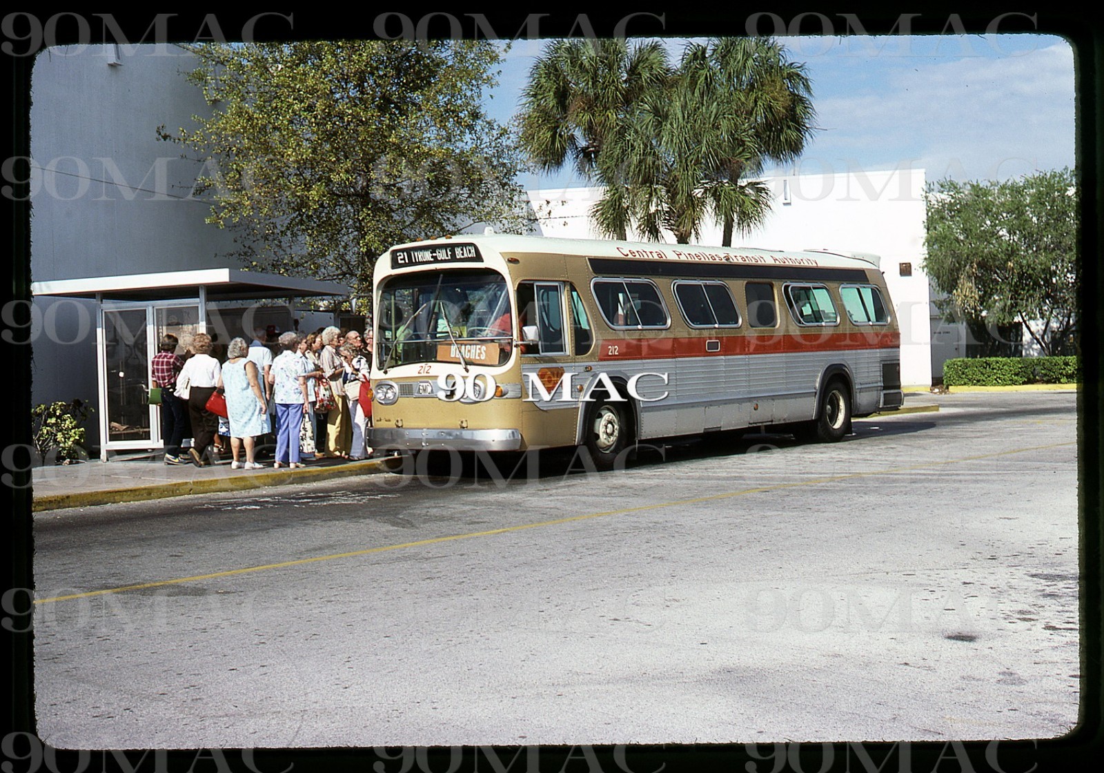 SPMTS. GM COACH BUS #212. Saint Petersburg (FL). Original Slide 1979.