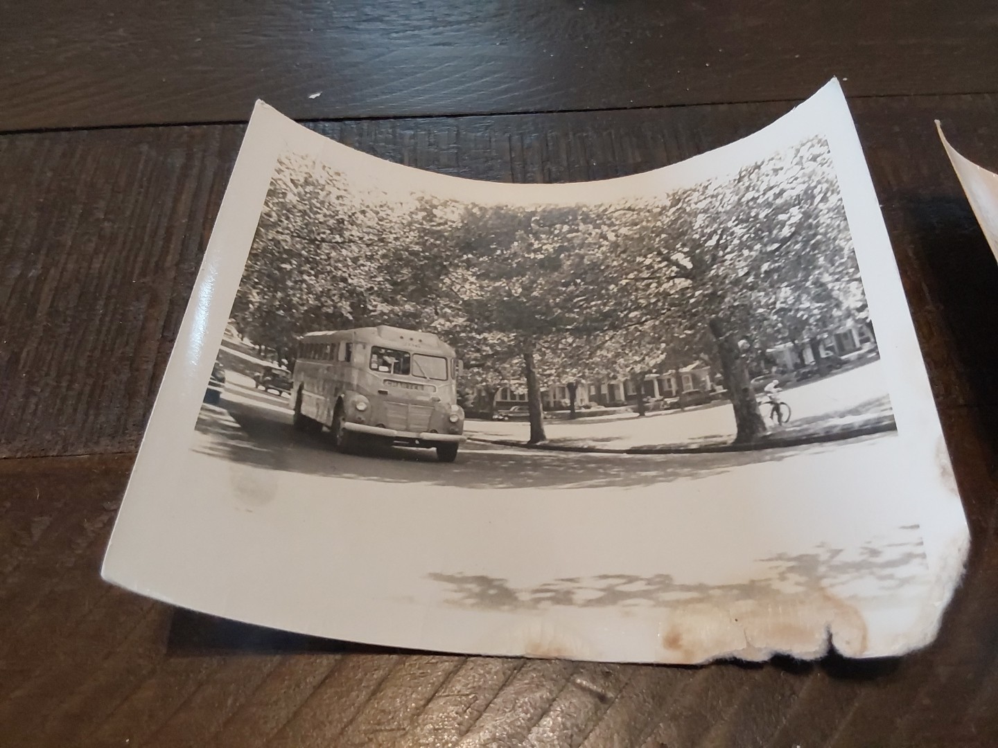 2 Conestoga Transportation Co 1950s Bus Photos