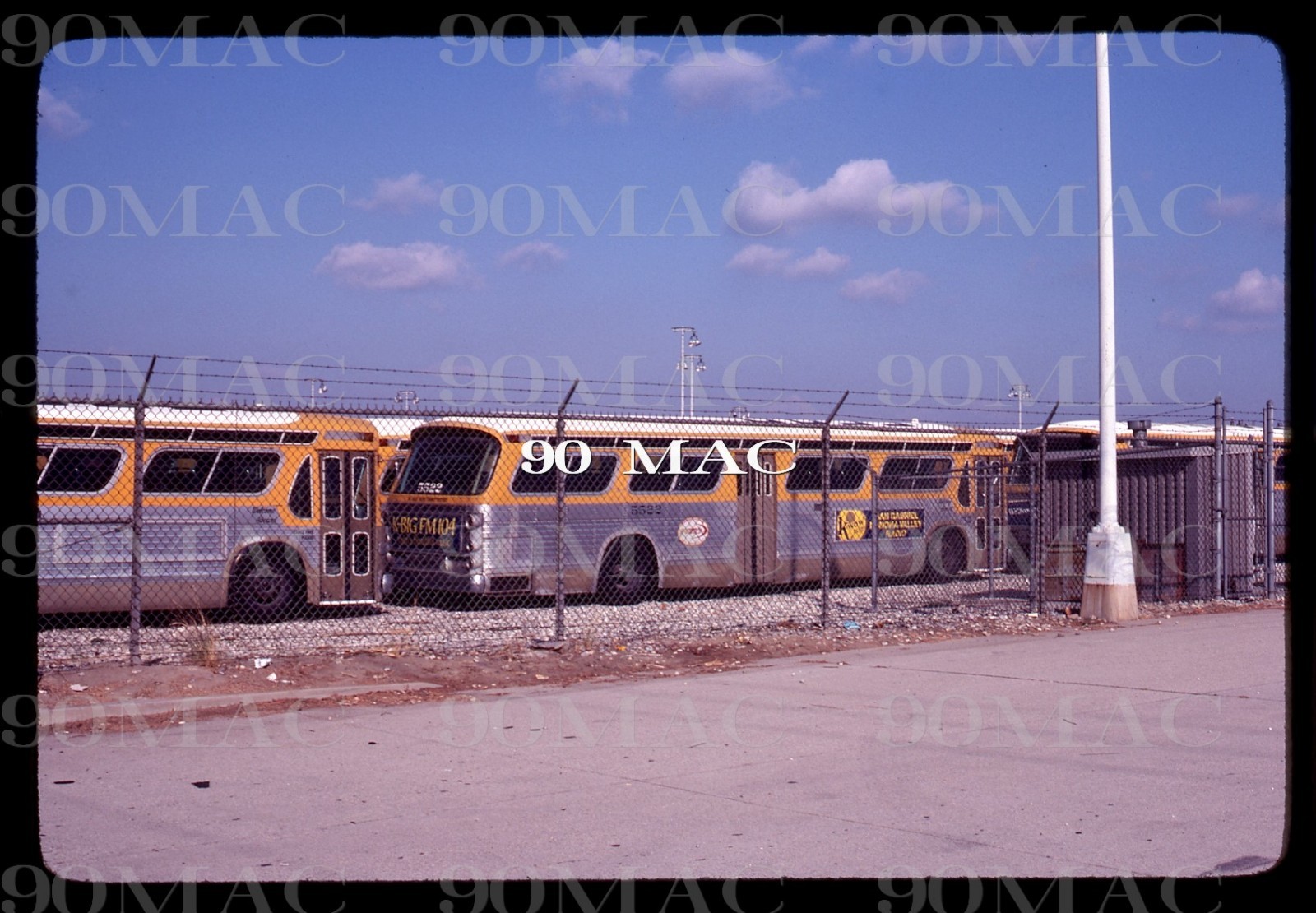 SCRTD-RTD. STORED BUS FLEET. Pico Rivera (CA). Original Slide 1981. FORD-12.
